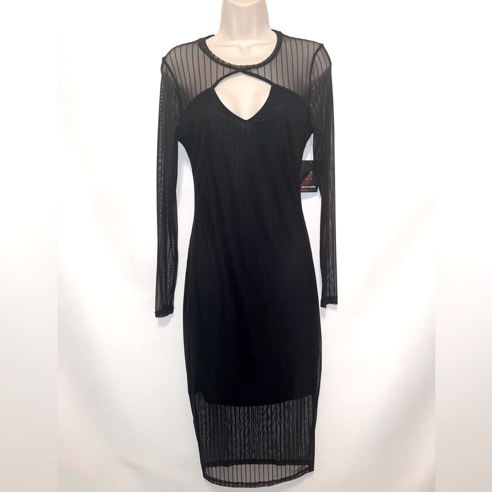 Medium Sized Project Runway Dress